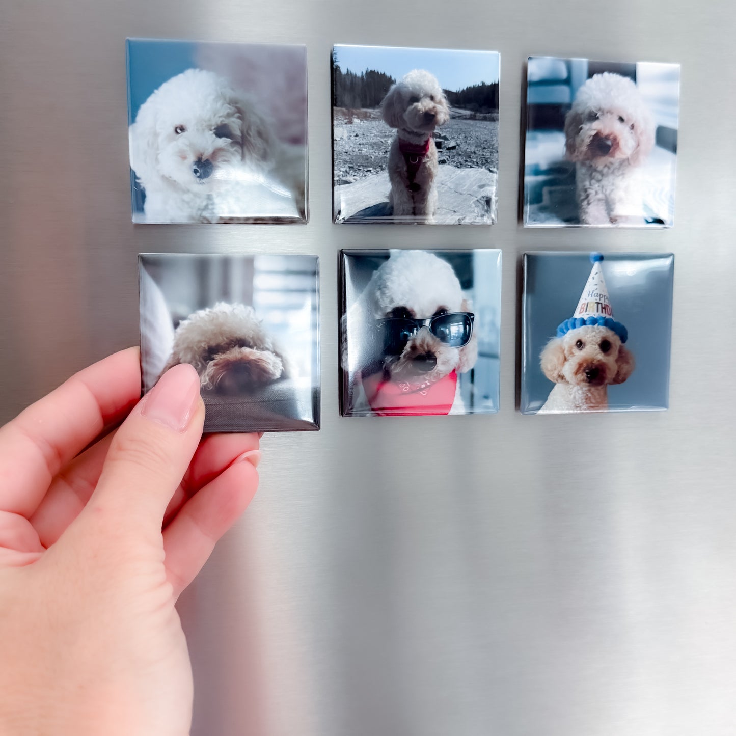 Set of six square photo magnets featuring a dog on a fridge.