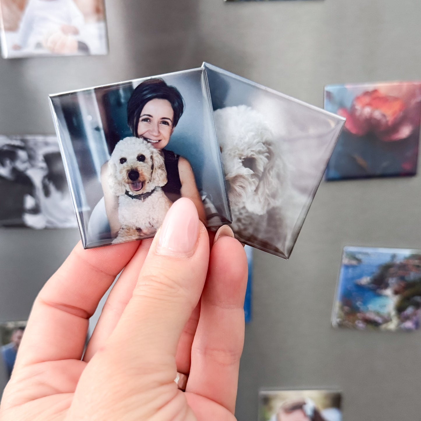 Hand holding a small photo magnet of a woman and a dog against a refrigerator with other photos attached.