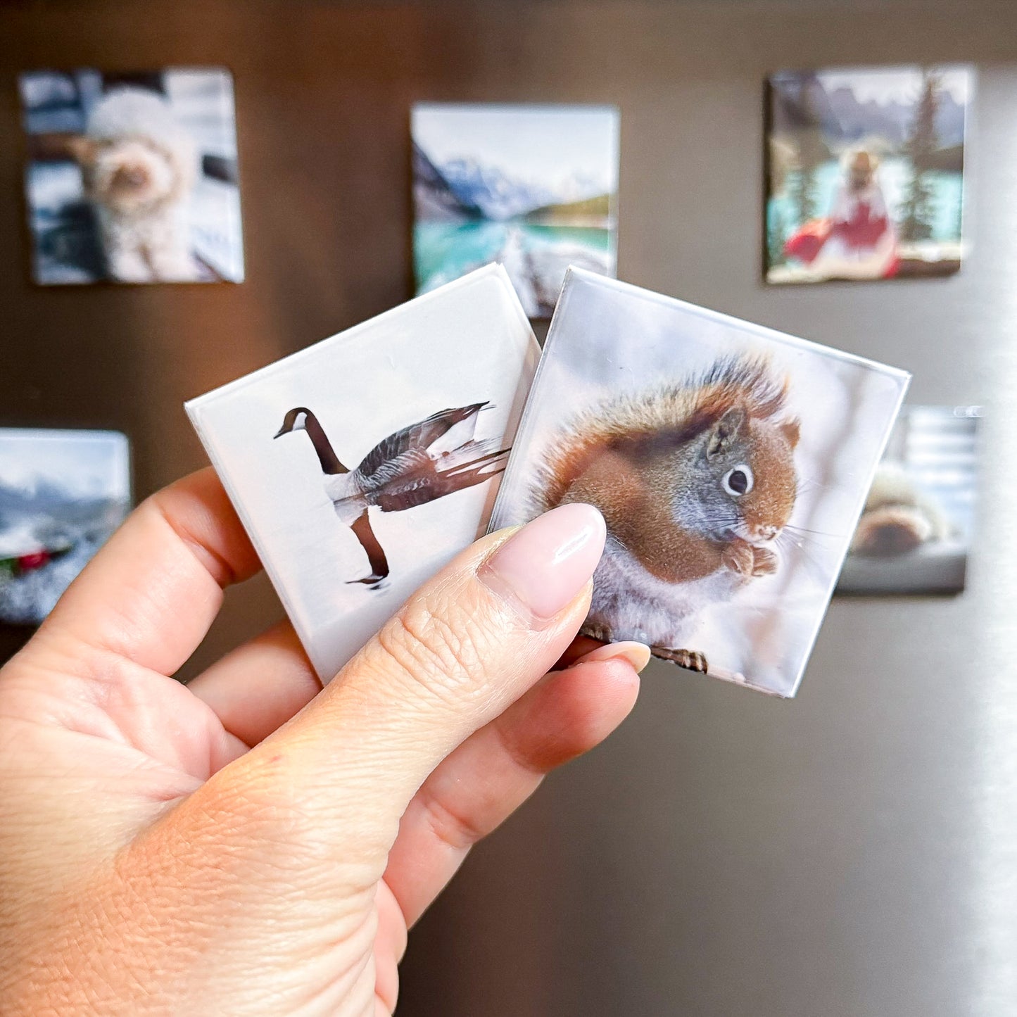 Hand holding two small square custom fridge magnets with animal images against a blurred background