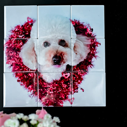 Dog wearing a red tinsel collar on a tiled background with flowers at the bottom.