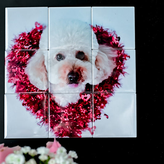 Dog wearing a red tinsel collar on a tiled background with flowers at the bottom.