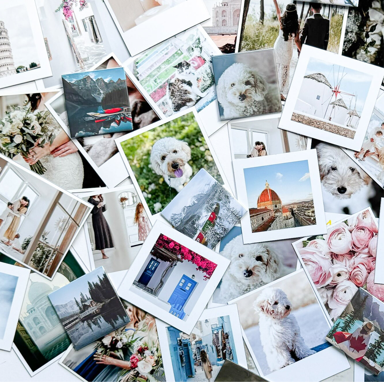 Collage of various photos magnets including landscapes, animals, and people.