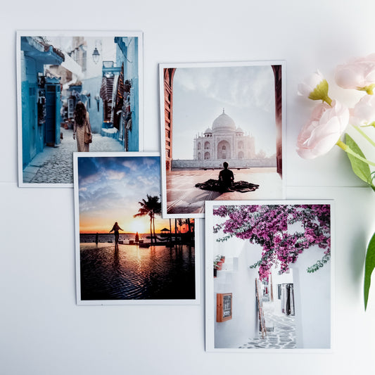 Collage of large photo magnets on a whiteboard with a plant to the right.